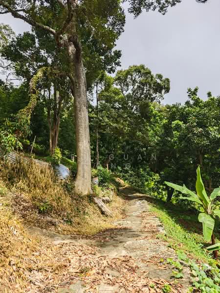 Agricultural Land for Sale in Ayer Itam (Penang) - Teh Guan Fong - Exterior - PropertyGuru.com.my