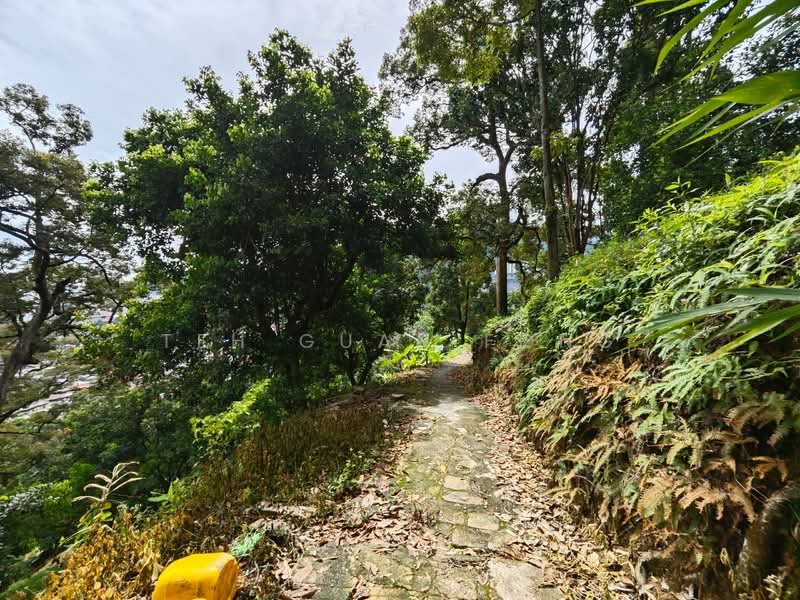 Agricultural Land for Sale in Ayer Itam (Penang) - Teh Guan Fong - Exterior - PropertyGuru.com.my