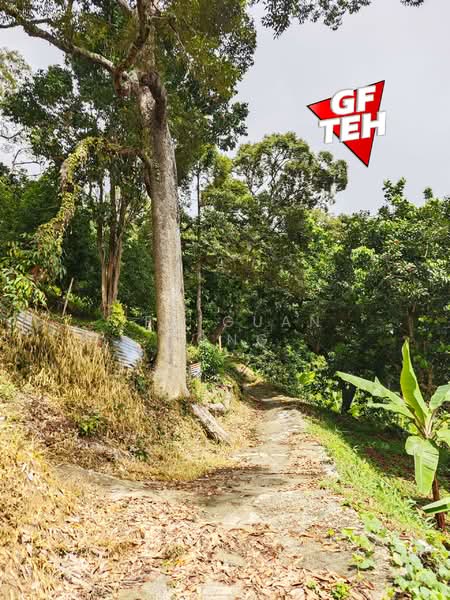 Agricultural Land for Sale in Ayer Itam (Penang) - Teh Guan Fong - Exterior - PropertyGuru.com.my