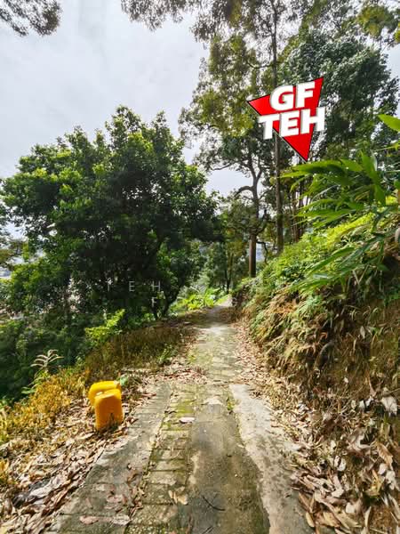 Agricultural Land for Sale in Ayer Itam (Penang) - Teh Guan Fong - Exterior - PropertyGuru.com.my