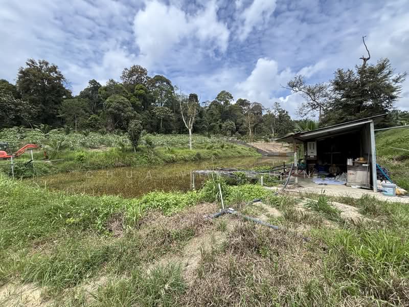 Agricultural Land for Sale in Taman Sri Saujana (Kota Tinggi) - Chua Yek Shin - PropertyGuru.com.my