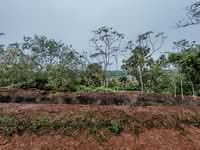 For Rent - Sungai Udang