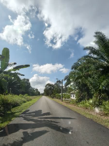 Agricultural Land for Sale in Ayer Baloi (Johor) - Amber Hew - PropertyGuru.com.my
