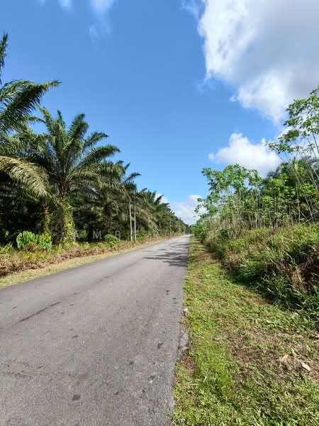 Agricultural Land for Sale in Ayer Baloi (Johor) - Amber Hew - PropertyGuru.com.my