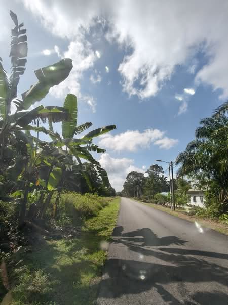 Agricultural Land for Sale in Ayer Baloi (Johor) - Amber Hew - Exterior - PropertyGuru.com.my