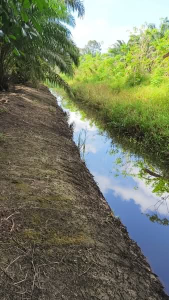 Agricultural Land for Sale in Ayer Baloi (Johor) - Amber Hew - Exterior - PropertyGuru.com.my