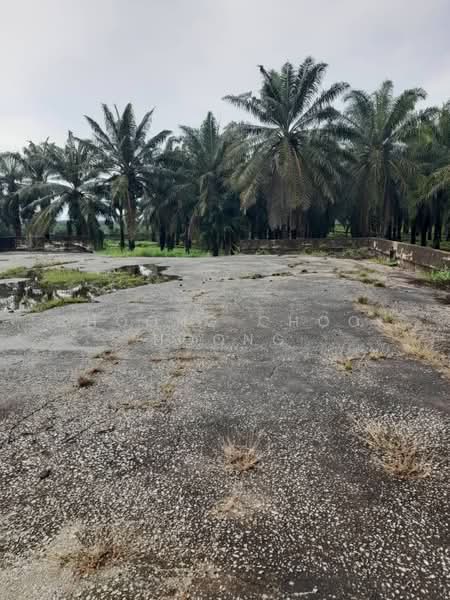 Agricultural Land for Sale in Bagan Datuk (Perak) - Choong Chooi Hoong - Exterior - PropertyGuru.com.my