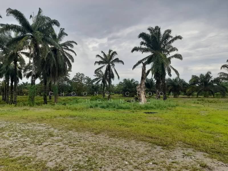 Agricultural Land for Sale in Bagan Datuk (Perak) - Choong Chooi Hoong - Exterior - PropertyGuru.com.my