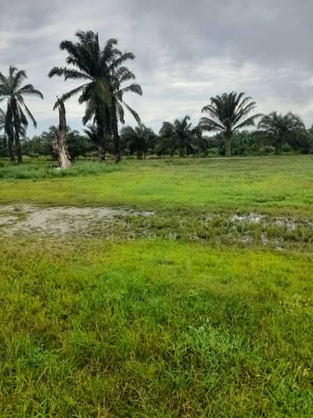 Agricultural Land for Sale in Bagan Datuk (Perak) - Choong Chooi Hoong - Exterior - PropertyGuru.com.my