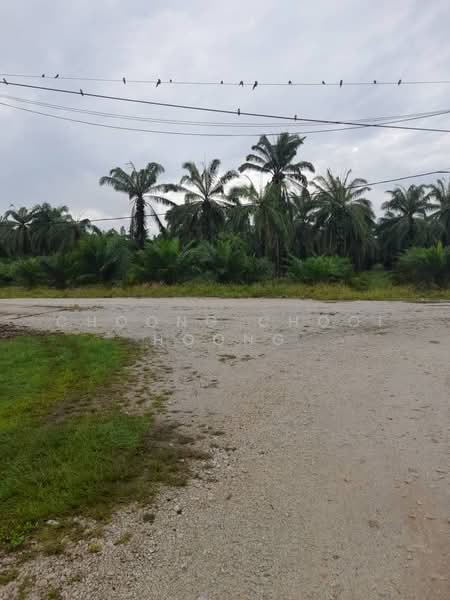Agricultural Land for Sale in Bagan Datuk (Perak) - Choong Chooi Hoong - Exterior - PropertyGuru.com.my