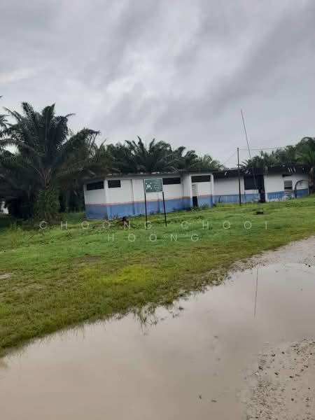 Agricultural Land for Sale in Bagan Datuk (Perak) - Choong Chooi Hoong - Exterior - PropertyGuru.com.my