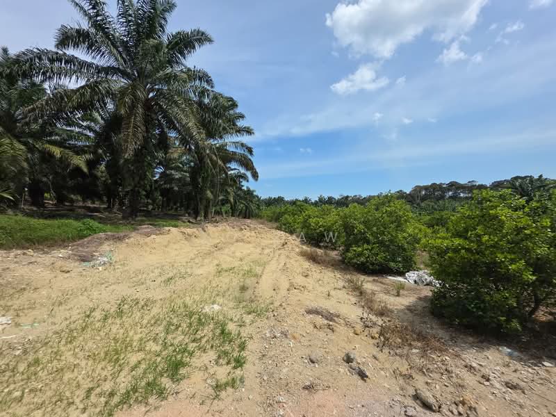 Agricultural Land for Sale in Batu Pahat (Johor) - ZG Law - Exterior - PropertyGuru.com.my