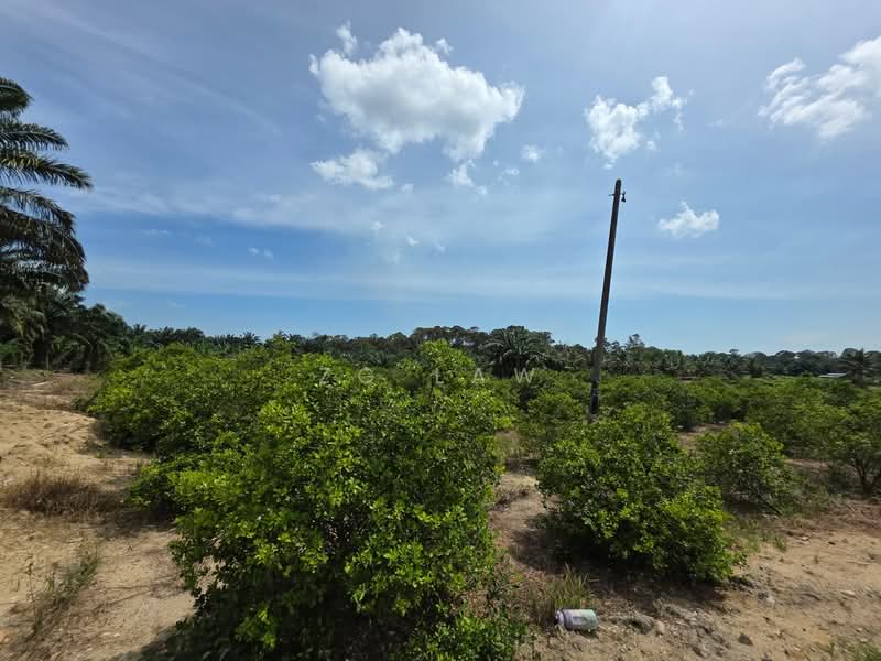 Agricultural Land for Sale in Batu Pahat (Johor) - ZG Law - Exterior - PropertyGuru.com.my