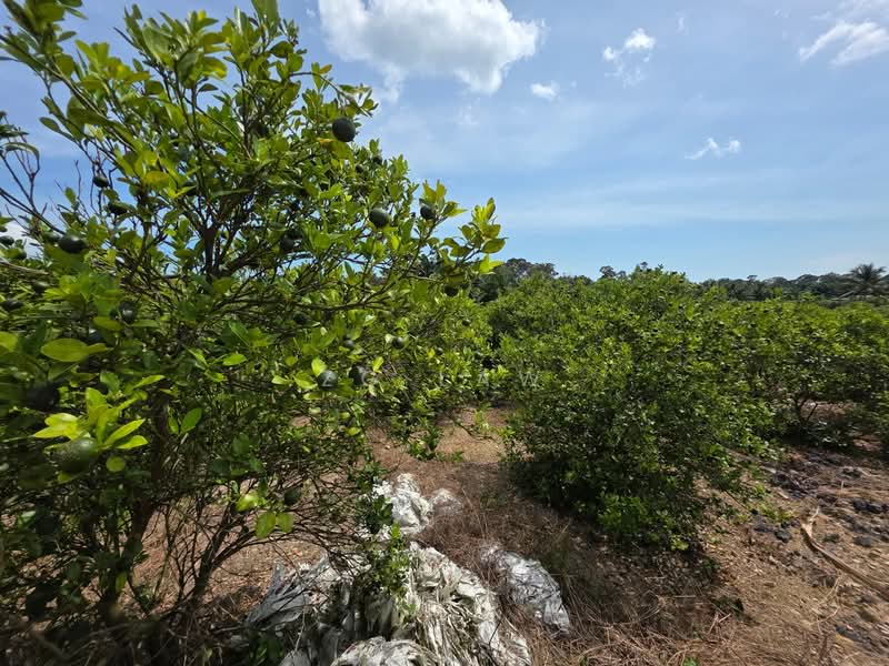 Agricultural Land for Sale in Batu Pahat (Johor) - ZG Law - Exterior - PropertyGuru.com.my