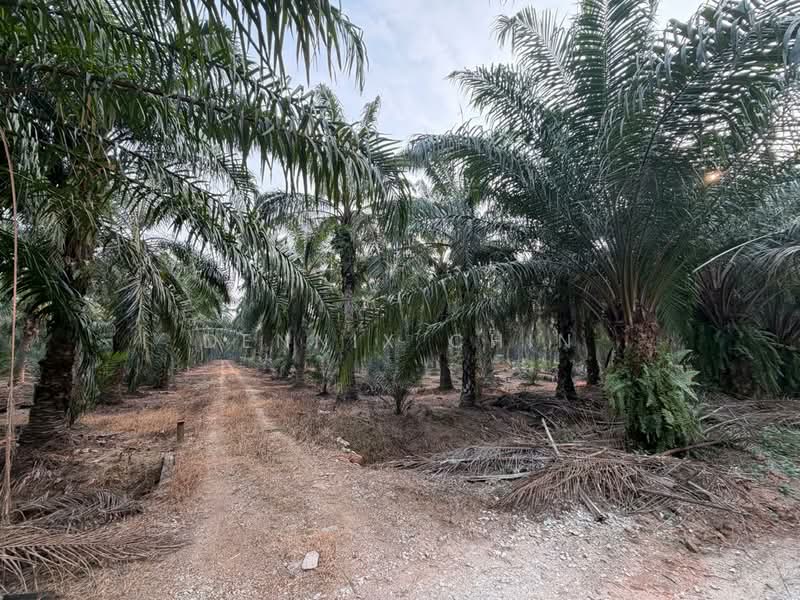 Agricultural Land for Sale in Jeram (Selangor) - Dennix Chin - Exterior - PropertyGuru.com.my