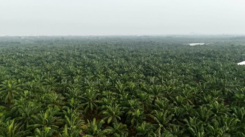 Agricultural Land for Sale in Jeram (Selangor) - Dennix Chin - PropertyGuru.com.my