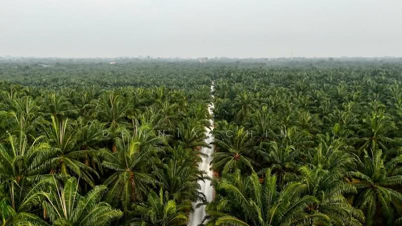 Agricultural Land for Sale in Jeram (Selangor) - Dennix Chin - Exterior - PropertyGuru.com.my