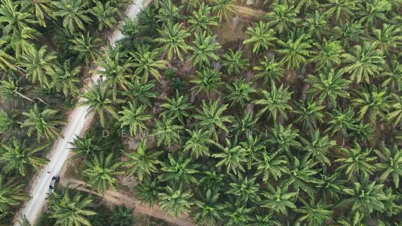 Agricultural Land for Sale in Jeram (Selangor) - Dennix Chin - Exterior - PropertyGuru.com.my