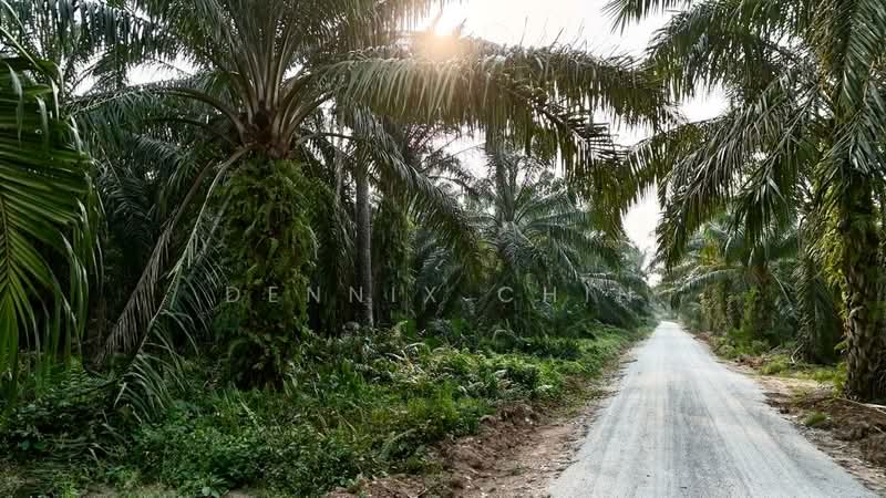 Agricultural Land for Sale in Jeram (Selangor) - Dennix Chin - Exterior - PropertyGuru.com.my