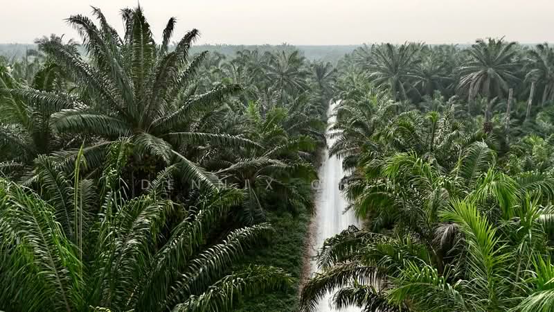Agricultural Land for Sale in Jeram (Selangor) - Dennix Chin - Exterior - PropertyGuru.com.my