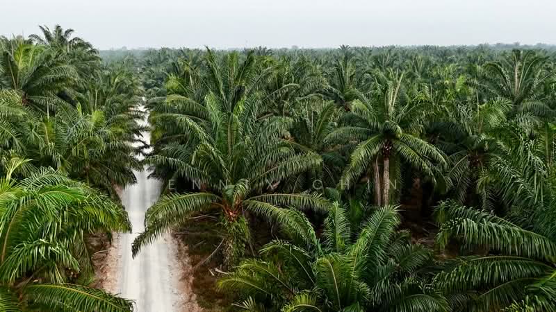 Agricultural Land for Sale in Jeram (Selangor) - Dennix Chin - PropertyGuru.com.my