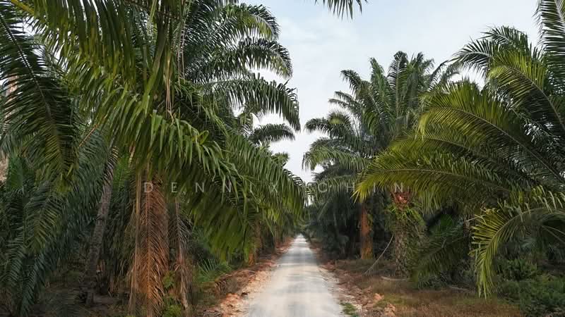 Agricultural Land for Sale in Jeram (Selangor) - Dennix Chin - Exterior - PropertyGuru.com.my