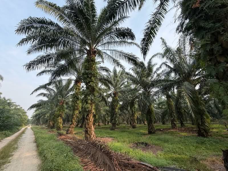 Agricultural Land for Sale in Jeram (Selangor) - Dennix Chin - Exterior - PropertyGuru.com.my