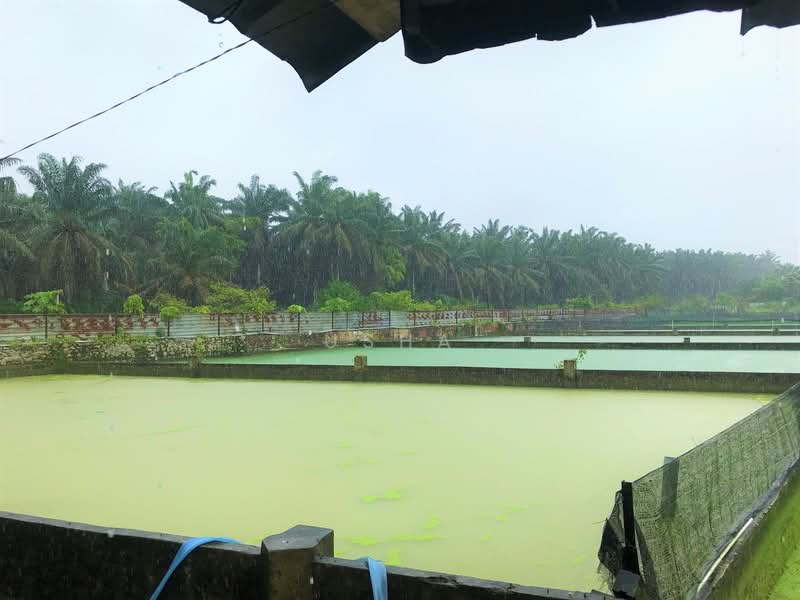 Agricultural Land for Sale in Taman Desa Cemerlang (Ulu Tiram) - Usha - Exterior - PropertyGuru.com.my