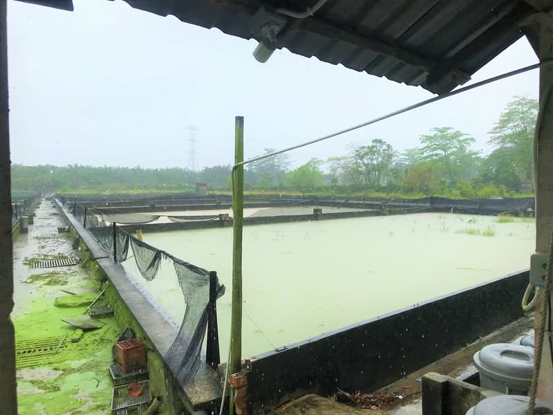 Agricultural Land for Sale in Taman Desa Cemerlang (Ulu Tiram) - Usha - Exterior - PropertyGuru.com.my