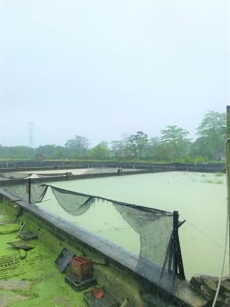 Agricultural Land for Sale in Taman Desa Cemerlang (Ulu Tiram) - Usha - Exterior - PropertyGuru.com.my