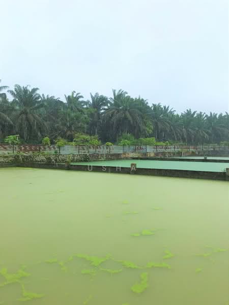 Agricultural Land for Sale in Taman Desa Cemerlang (Ulu Tiram) - Usha - Exterior - PropertyGuru.com.my