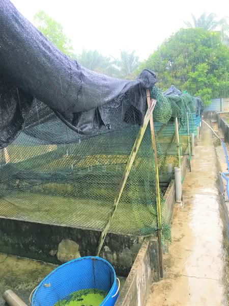 Agricultural Land for Sale in Taman Desa Cemerlang (Ulu Tiram) - Usha - Exterior - PropertyGuru.com.my