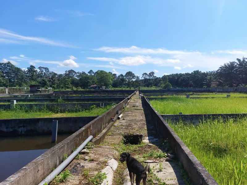 Agricultural Land for Sale in Taman Desa Cemerlang (Ulu Tiram) - Usha - Exterior - PropertyGuru.com.my