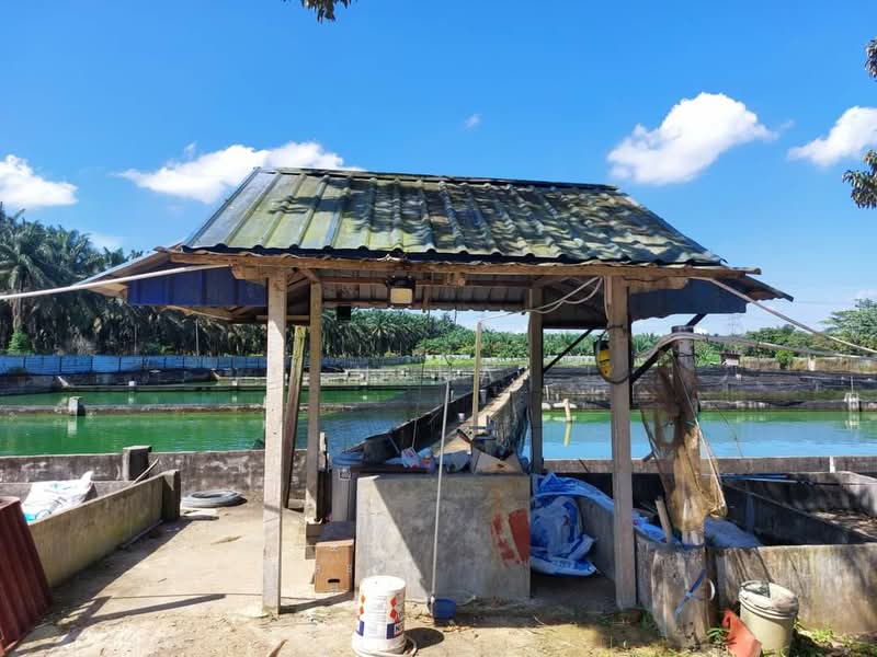 Agricultural Land for Sale in Taman Desa Cemerlang (Ulu Tiram) - Usha - Exterior - PropertyGuru.com.my