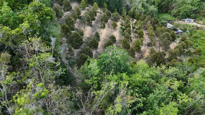 Liman Kati untuk Untuk Dijual - RM 600,000, Mac 2026 - Exterior - PropertyGuru.com.my