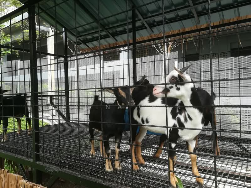 Condominium for Sale at Nidoz Residences @ Desa Petaling - Sabrina Chong - PropertyGuru.com.my