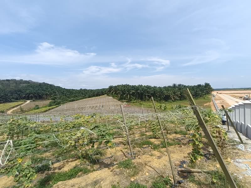 Agricultural Land for Sale in Kulai (Johor) - Leanne Liew - PropertyGuru.com.my