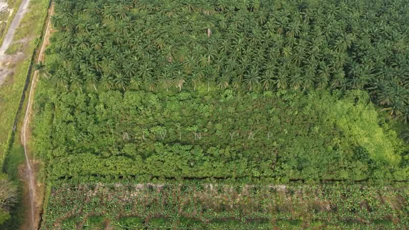 Kapar Industrial Park untuk Untuk Disewa - RM 19,620 /bulan, Mac 2026 - Exterior - PropertyGuru.com.my