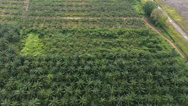 Kapar Industrial Park untuk Untuk Disewa - RM 19,620 /bulan, Mac 2026 - PropertyGuru.com.my