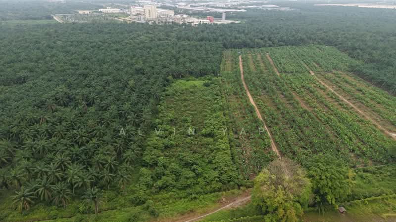 Kapar Industrial Park untuk Untuk Disewa - RM 19,620 /bulan, Mac 2026 - Exterior - PropertyGuru.com.my