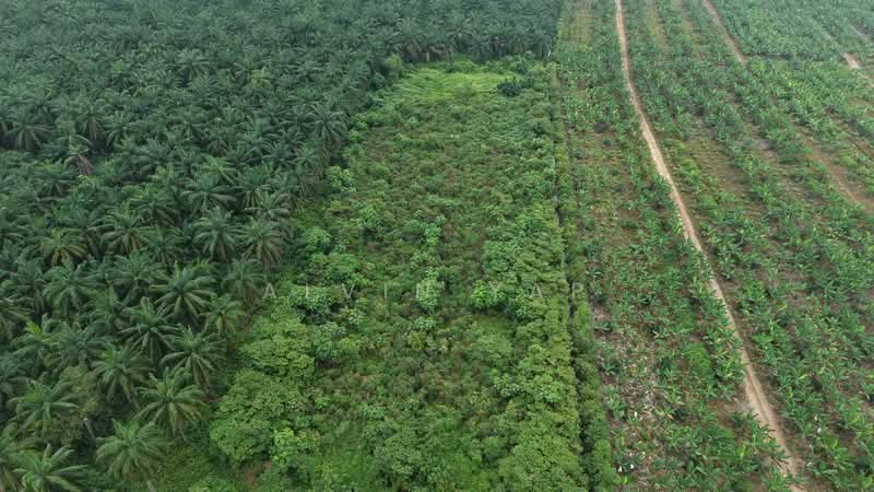 Kapar Industrial Park untuk Untuk Disewa - RM 19,620 /bulan, Mac 2026 - PropertyGuru.com.my