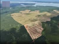 For Sale - Tanjung Langsat