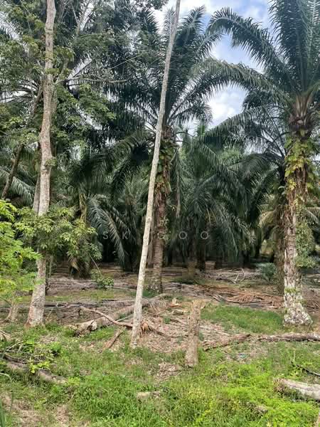 Agricultural Land for Sale in Kawasan Perusahaan Sri Sengkang (Kulai) - SK GOO - Exterior - PropertyGuru.com.my