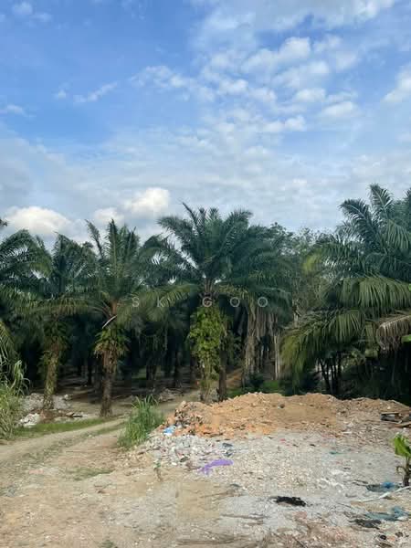 Agricultural Land for Sale in Kawasan Perusahaan Sri Sengkang (Kulai) - SK GOO - Exterior - PropertyGuru.com.my