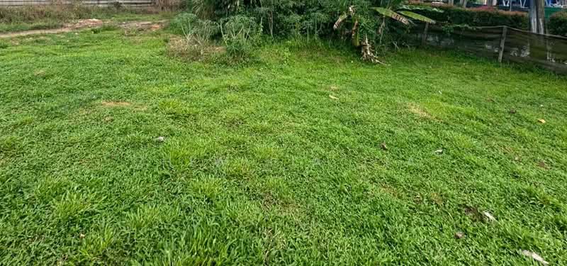 Commercial Land for Sale in Tebrau (Johor) - Chew Jia Jia - Garden - PropertyGuru.com.my