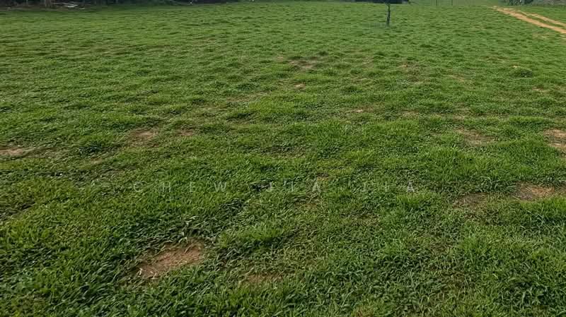 Commercial Land for Sale in Tebrau (Johor) - Chew Jia Jia - Garden - PropertyGuru.com.my