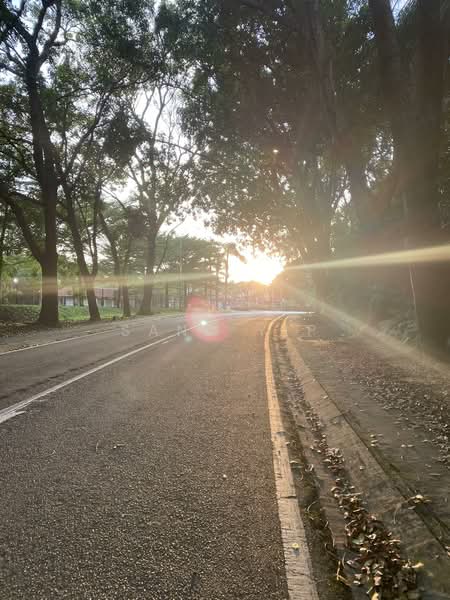 Untuk Disewa - Hijauan Saujana