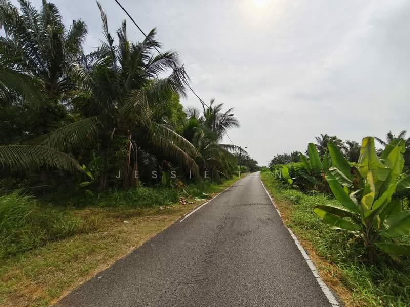 Agricultural Land for Sale in Pontian (Johor) - Jessie Tan - Exterior - PropertyGuru.com.my