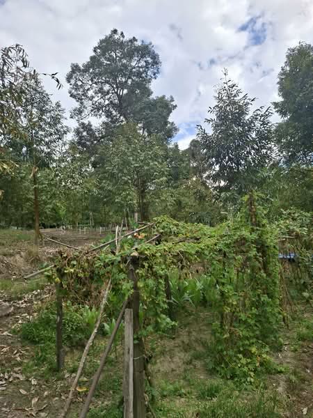 Kampung Jambu Rias untuk Untuk Dijual - RM 1,805,760, Mac 2026 - PropertyGuru.com.my