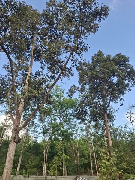 Kampung Jambu Rias untuk Untuk Dijual - RM 1,805,760, Mac 2026 - PropertyGuru.com.my